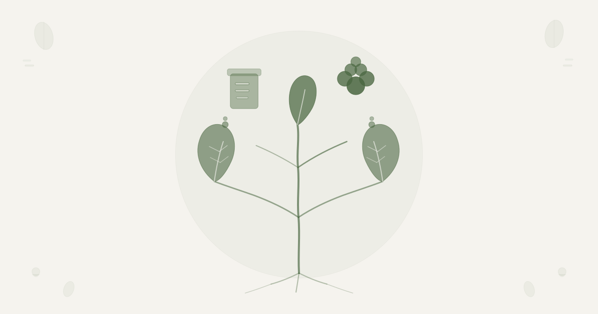 Scandinavian botanical illustration for Dry vs Canned Legumes — asymmetric crown with dominant legume cluster representing dry legumes and alternate jar form representing canned legumes