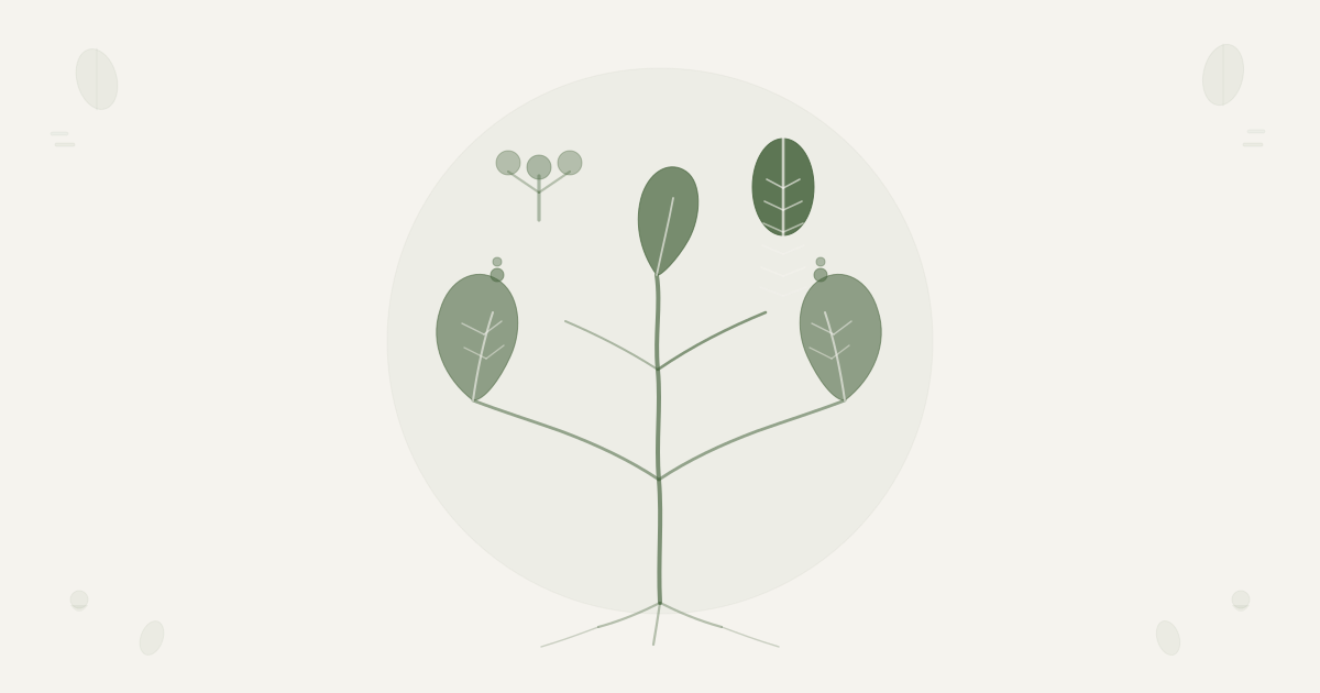 Scandinavian botanical illustration for Familiar vs New Vegetables — asymmetric crown with dominant leaf representing familiar reliable vegetables and alternate cruciferous form representing new vegetable varieties