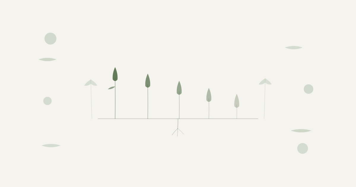 Scandinavian botanical illustration for Oil Storage and Shelf Life — four oil teardrop forms on a botanical baseline representing storage stages — OG featured image