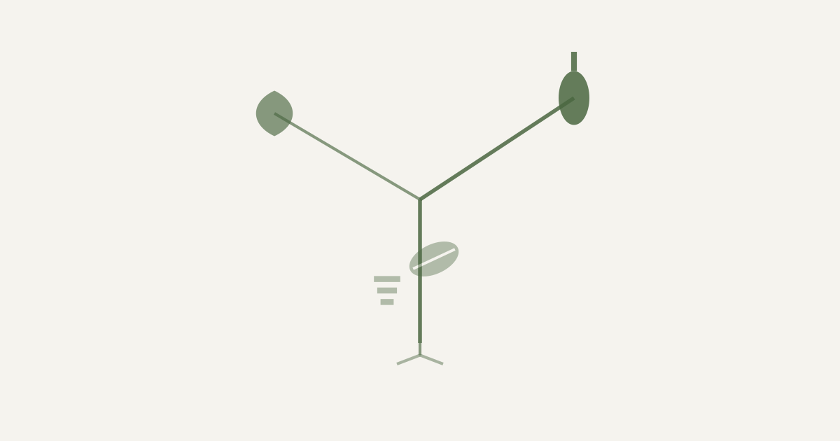 Scandinavian botanical illustration for Best Diet Pattern for Blood Pressure — forked stem representing the decision between DASH and Mediterranean patterns for blood pressure — OG featured image