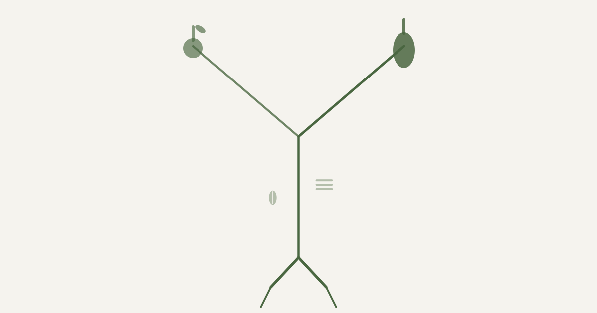 Scandinavian botanical illustration for DASH vs MIND Diet - decision stem for blood pressure and brain health - OG featured image